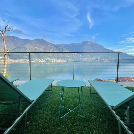 Il Noce Lake View Apartment Lezzeno Exterior foto